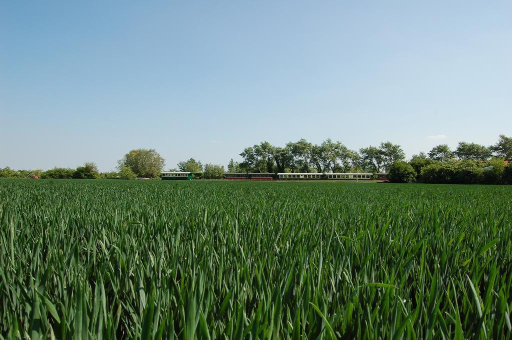 Camping Le Picardy Otel Pinchefalise Oda fotoğraf